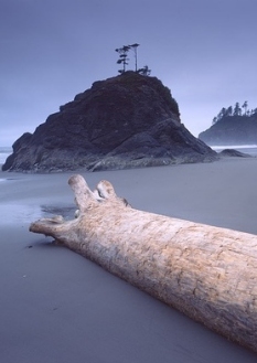 La spiaggia di La Push